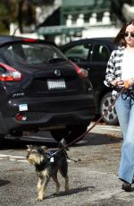 DAKOTA JOHNSON Walks Her Dog Out in Los Angeles 01/11/2017