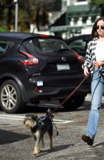 DAKOTA JOHNSON Walks Her Dog Out in Los Angeles 01/11/2017