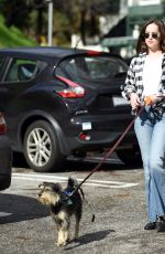 DAKOTA JOHNSON Walks Her Dog Out in Los Angeles 01/11/2017