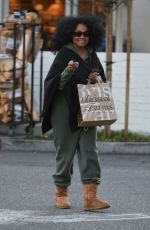 DIANA ROSS Shopping at Bristol Farms in Beverly Hills 01/26/2017