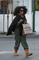 DIANA ROSS Shopping at Bristol Farms in Beverly Hills 01/26/2017