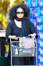 DIANA ROSS Shopping at Bristol Farms in Beverly Hills 01/29/2017
