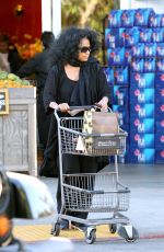 DIANA ROSS Shopping at Bristol Farms in Beverly Hills 01/29/2017