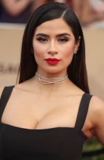 DIANE GUERRERO at 23rd Annual Screen Actors Guild Awards in Los Angeles 01/29/2017