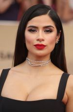 DIANE GUERRERO at 23rd Annual Screen Actors Guild Awards in Los Angeles 01/29/2017
