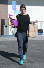 ELISABETTA CANALIS Out Shopping in Beverly Hills 01/17/2017