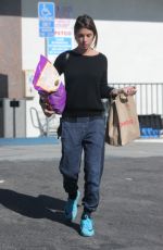 ELISABETTA CANALIS Out Shopping in Beverly Hills 01/17/2017