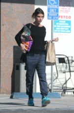 ELISABETTA CANALIS Out Shopping in Beverly Hills 01/17/2017