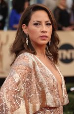 ELIZABETH RODRIGUEZ at 23rd Annual Screen Actors Guild Awards in Los Angeles 01/29/2017