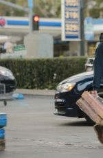 ELLEN PAGE Shopping at Bristol Farms in West Hollywood 01/24/2017