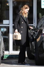 ELLEN POMPEO Out Shopping in Los Angeles 01/09/2017