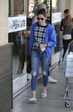 FREIDA PINTO Out Shopping in Los Angeles 01/07/2017