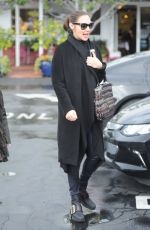 GAL GADOT Out and About in West Hollywood 01/23/2017