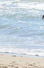 GEORGIA MAY FOOTE on the Beach in Malibu 01/28/2017