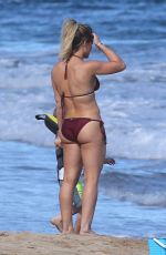 HILARY DUFF in Bikini at a Beach in Hawaii 01/01/2017
