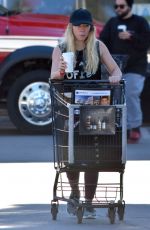 HILARY DUFF Out for Shopping in Studio City 01/17/2017