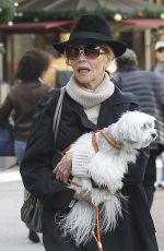 JANE FONDA Out Shopping in West Hollywood 12/24/2016