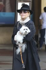 JANE FONDA Out Shopping in West Hollywood 12/24/2016