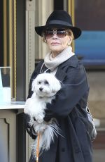 JANE FONDA Out Shopping in West Hollywood 12/24/2016