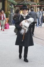JANE FONDA Out Shopping in West Hollywood 12/24/2016
