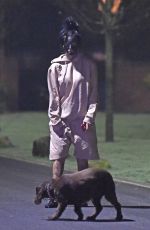 JEMMA LUCY Out with Her Dog for a Late Night Walk in Manchester 12/28/2016
