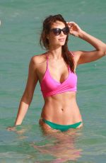 JULIA PEREIRA in Bikini on the Beach in Miami 01/15/2017
