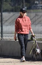 KATE MARA Walks Her Dogs Out in Silver Lake 01/29/2017
