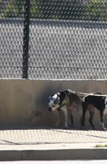 KATE MARA Walks Her Dogs Out in Silver Lake 01/29/2017