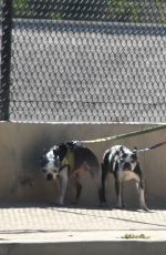 KATE MARA Walks Her Dogs Out in Silver Lake 01/29/2017