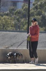 KATE MARA Walks Her Dogs Out in Silver Lake 01/29/2017