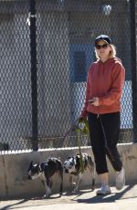 KATE MARA Walks Her Dogs Out in Silver Lake 01/29/2017