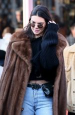 KENDALL JENNER and A$AP Rocky Out in Paris 01/22/2017