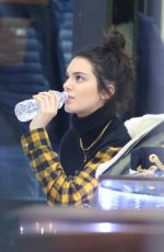 KENDALL JENNER Out Shopping in New York 01/17/2017