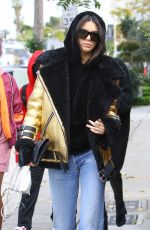 KENDALL JENNER Out Shopping in West Hollywood 01/02/2017