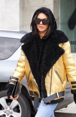 KENDALL JENNER Out Shopping in West Hollywood 01/02/2017