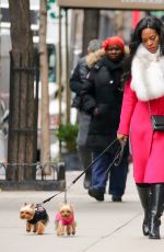 KENYA MOOR Out Shopping with Her Dogs in New York 01/0582017