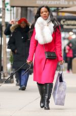 KENYA MOOR Out Shopping with Her Dogs in New York 01/0582017