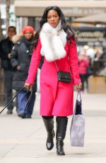 KENYA MOOR Out Shopping with Her Dogs in New York 01/0582017