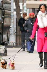 KENYA MOOR Out Shopping with Her Dogs in New York 01/0582017