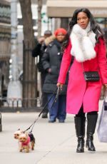 KENYA MOOR Out Shopping with Her Dogs in New York 01/0582017