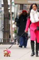 KENYA MOOR Out Shopping with Her Dogs in New York 01/0582017
