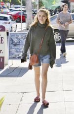KIERNAN SHIPKA Out and About in Los Angeles 01/24/2017