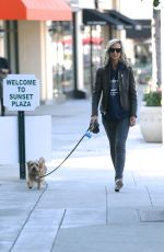 LADY VICTORIA HERVEY Out with Her Dog in West Hollywood 01/26/2017