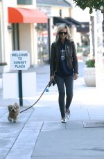 LADY VICTORIA HERVEY Out with Her Dog in West Hollywood 01/26/2017