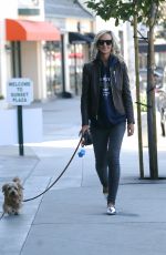 LADY VICTORIA HERVEY Out with Her Dog in West Hollywood 01/26/2017