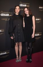 MARION COTILLARD at Chaumet Cesar - Relevations 2017 Coctail in Paris 01/16/2017