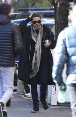 MARION COTILLARD Out for Lunch in Nice 01/12/2017