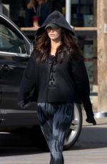 MEGAN FOX Out for Shopping in Malibu 01/17/2017