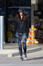 MEGAN FOX Out for Shopping in Malibu 01/17/2017