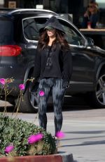 MEGAN FOX Out for Shopping in Malibu 01/17/2017